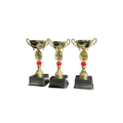 ÖDÜL KUPASI  KULPLU